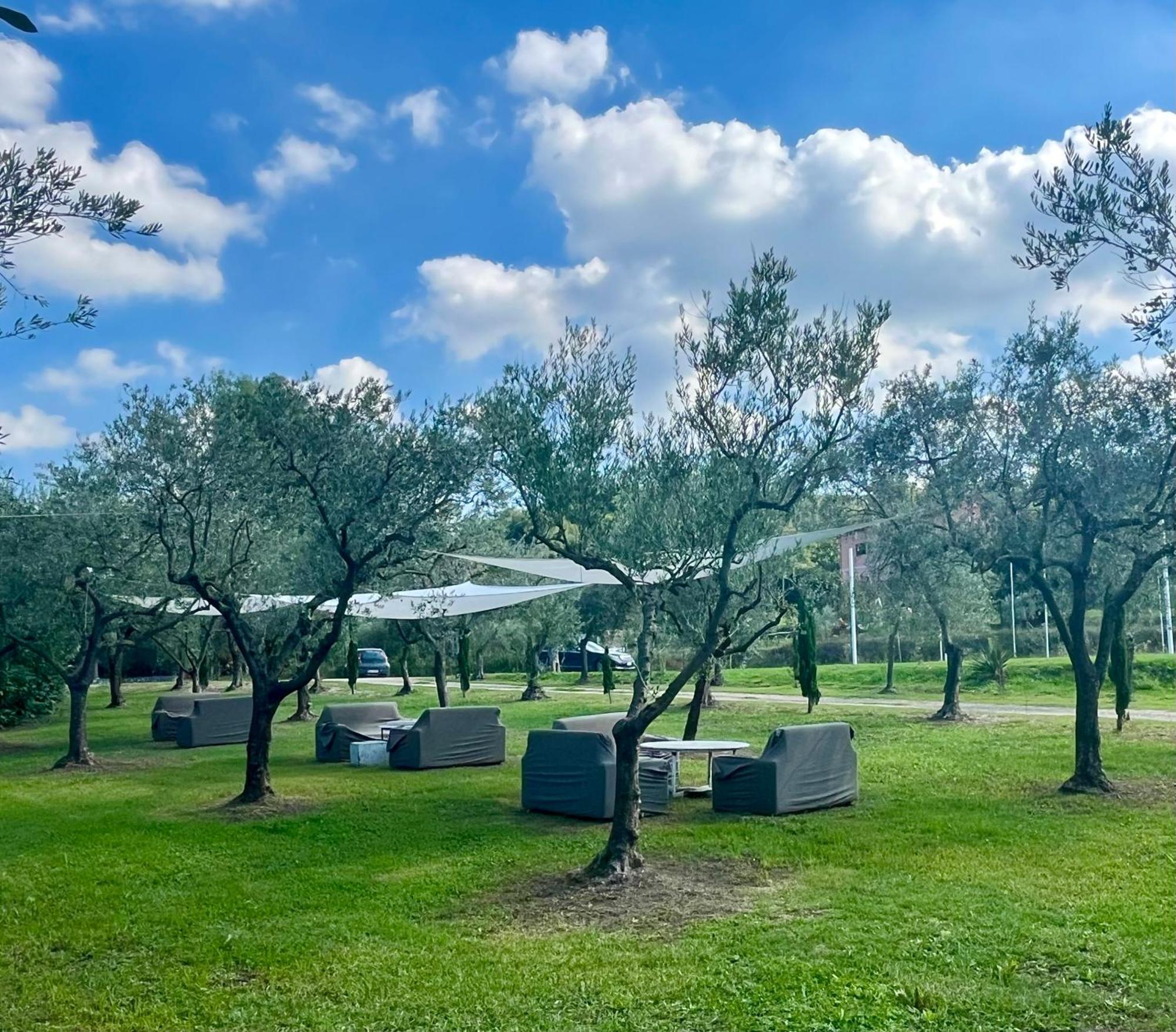 Bed & Breakfast La Tenuta Del Barone *